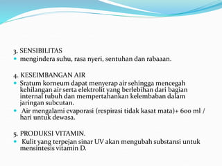 3. SENSIBILITAS
 mengindera suhu, rasa nyeri, sentuhan dan rabaaan.
4. KESEIMBANGAN AIR
 Sratum korneum dapat menyerap air sehingga mencegah
kehilangan air serta elektrolit yang berlebihan dari bagian
internal tubuh dan mempertahankan kelembaban dalam
jaringan subcutan.
 Air mengalami evaporasi (respirasi tidak kasat mata)+ 600 ml /
hari untuk dewasa.
5. PRODUKSI VITAMIN.
 Kulit yang terpejan sinar UV akan mengubah substansi untuk
mensintesis vitamin D.
 