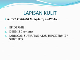LAPISAN KULIT
 KULIT TERBAGI MENJADI 3 LAPISAN :
1. EPIDERMIS
2. DERMIS ( korium)
3. JARINGAN SUBKUTAN ATAU HIPODERMIS /
SUBCUTIS
 