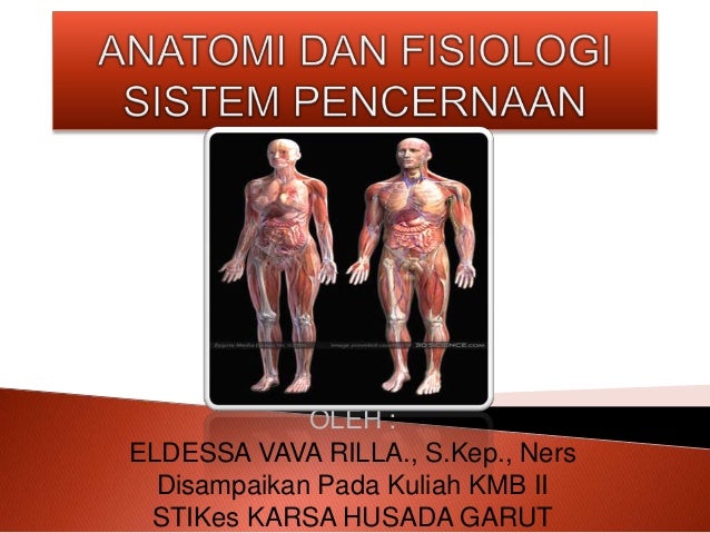Anatomi Dan Fisiologi Sist Pencernaan