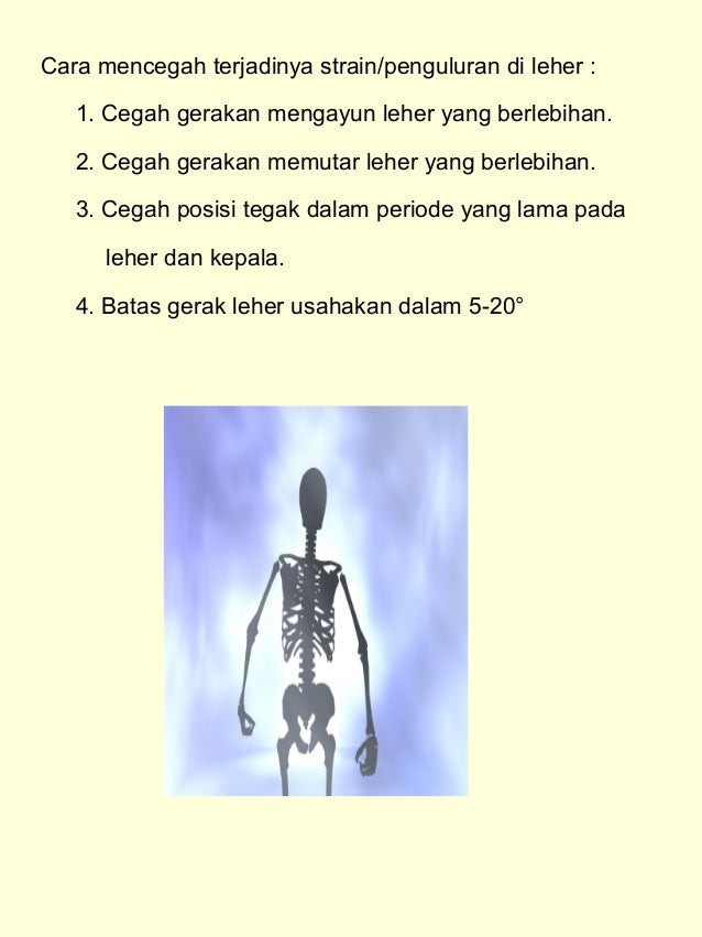 anatomi fisiologi tubuh manusia anatomi fisiologi tubuh manusia
