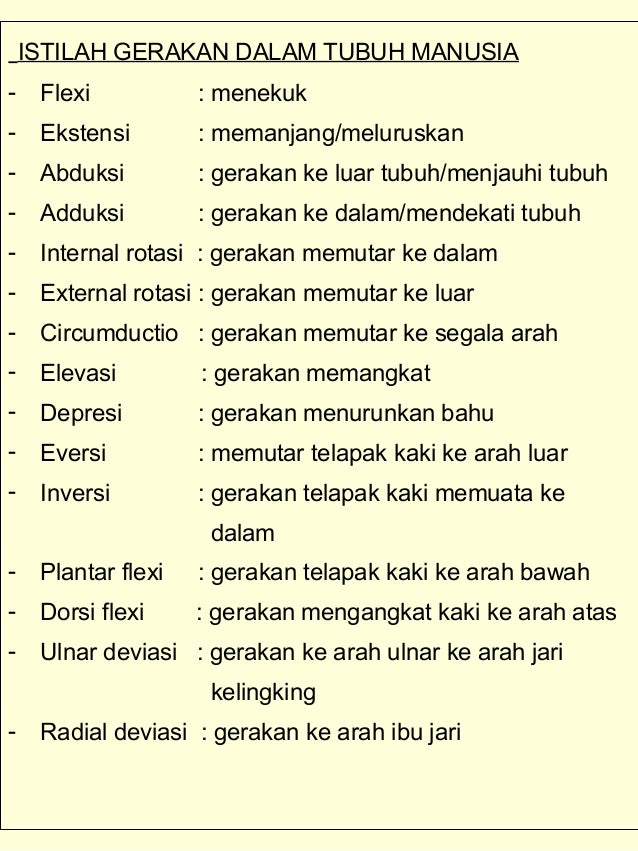 Anatomi Dan Fisiologi Tubuh Manusia 6 A