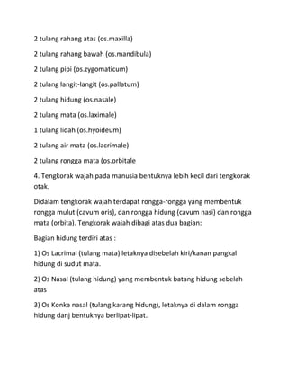 2 tulang rahang atas (os.maxilla)
2 tulang rahang bawah (os.mandibula)
2 tulang pipi (os.zygomaticum)
2 tulang langit-langit (os.pallatum)
2 tulang hidung (os.nasale)
2 tulang mata (os.laximale)
1 tulang lidah (os.hyoideum)
2 tulang air mata (os.lacrimale)
2 tulang rongga mata (os.orbitale
4. Tengkorak wajah pada manusia bentuknya lebih kecil dari tengkorak
otak.
Didalam tengkorak wajah terdapat rongga-rongga yang membentuk
rongga mulut (cavum oris), dan rongga hidung (cavum nasi) dan rongga
mata (orbita). Tengkorak wajah dibagi atas dua bagian:
Bagian hidung terdiri atas :
1) Os Lacrimal (tulang mata) letaknya disebelah kiri/kanan pangkal
hidung di sudut mata.
2) Os Nasal (tulang hidung) yang membentuk batang hidung sebelah
atas
3) Os Konka nasal (tulang karang hidung), letaknya di dalam rongga
hidung danj bentuknya berlipat-lipat.
 