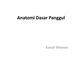 Anatomi Dasar Panggul
Kukuh Wibowo
 