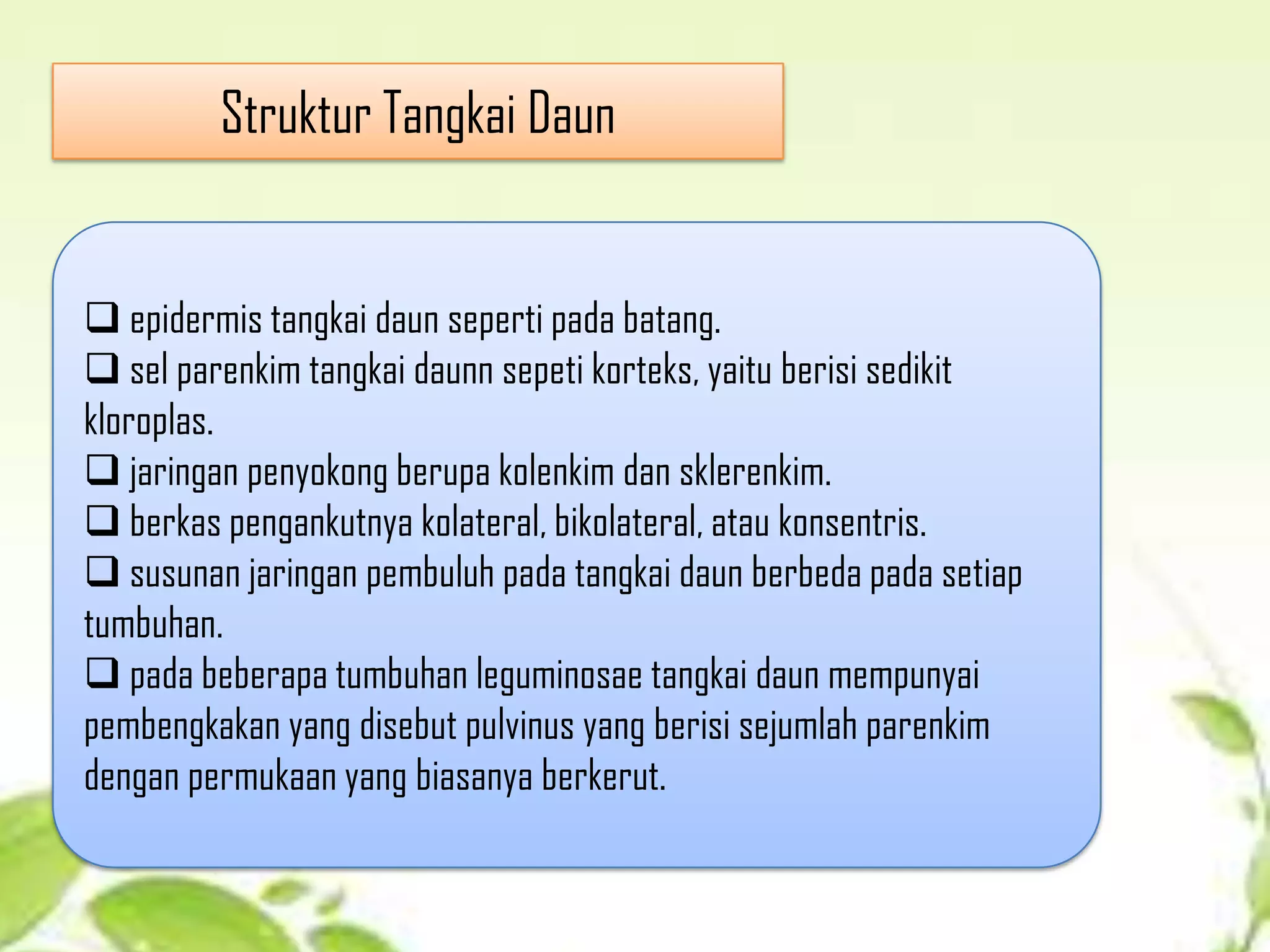 Struktur Tangkai Daun

 epidermis tangkai daun seperti pada batang.
 sel parenkim tangkai daunn sepeti korteks, yaitu berisi sedikit
kloroplas.
 jaringan penyokong berupa kolenkim dan sklerenkim.
 berkas pengankutnya kolateral, bikolateral, atau konsentris.
 susunan jaringan pembuluh pada tangkai daun berbeda pada setiap
tumbuhan.
 pada beberapa tumbuhan leguminosae tangkai daun mempunyai
pembengkakan yang disebut pulvinus yang berisi sejumlah parenkim
dengan permukaan yang biasanya berkerut.

 