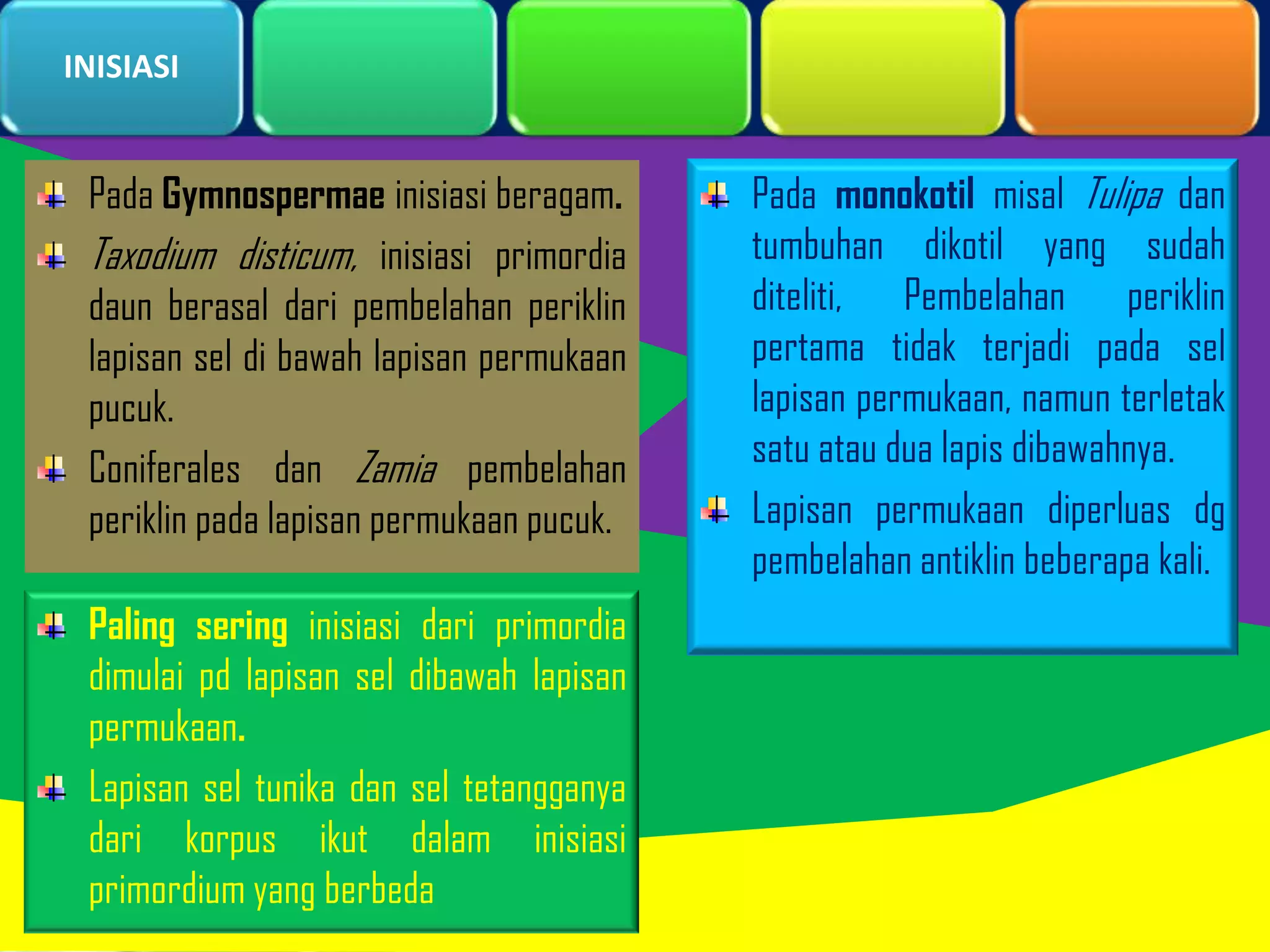 INISIASI

Pada Gymnospermae inisiasi beragam.
Taxodium disticum, inisiasi primordia
daun berasal dari pembelahan periklin
lapisan sel di bawah lapisan permukaan
pucuk.
Coniferales dan Zamia pembelahan
periklin pada lapisan permukaan pucuk.

Paling sering inisiasi dari primordia
dimulai pd lapisan sel dibawah lapisan
permukaan.
Lapisan sel tunika dan sel tetangganya
dari korpus ikut dalam inisiasi
primordium yang berbeda

Pada monokotil misal Tulipa dan
tumbuhan dikotil yang sudah
diteliti, Pembelahan periklin
pertama tidak terjadi pada sel
lapisan permukaan, namun terletak
satu atau dua lapis dibawahnya.
Lapisan permukaan diperluas dg
pembelahan antiklin beberapa kali.

 