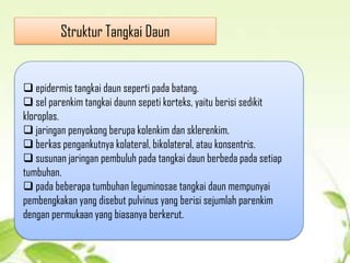 Anatomi daun | PPTX