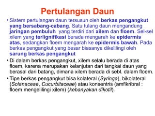 Pertulangan Daun
• Sistem pertulangan daun tersusun oleh berkas pengangkut
yang bersabang-cabang. Satu tulang daun mengandung
jaringan pembuluh yang terdiri dari xilem dan floem. Sel-sel
xilem yang terlignifikasi berada mengarah ke epidermis
atas, sedangkan floem mengarah ke epidermis bawah. Pada
berkas pengangkut yang besar biasanya dikelilingi oleh
sarung berkas pengangkut
• Di dalam berkas pengangkut, xilem selalu berada di atas
floem, karena merupakan kelanjutan dari tangkai daun yang
berasal dari batang, dimana xilem berada di sebl. dalam floem.
• Tipe berkas pengangkut bisa kolateral (Syringa), bikolateral
(Solanaceae, Cucurbitaceae) atau konsentris (amfikribral :
floem mengelilingi xilem) (kebanyakan dikotil).
 
