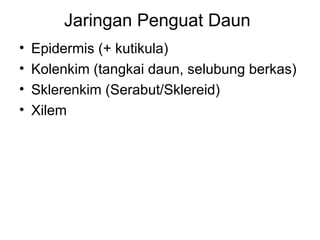 Jaringan Penguat Daun
• Epidermis (+ kutikula)
• Kolenkim (tangkai daun, selubung berkas)
• Sklerenkim (Serabut/Sklereid)
• Xilem
 