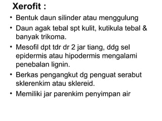 Xerofit :
• Bentuk daun silinder atau menggulung
• Daun agak tebal spt kulit, kutikula tebal &
banyak trikoma.
• Mesofil dpt tdr dr 2 jar tiang, ddg sel
epidermis atau hipodermis mengalami
penebalan lignin.
• Berkas pengangkut dg penguat serabut
sklerenkim atau sklereid.
• Memiliki jar parenkim penyimpan air
 