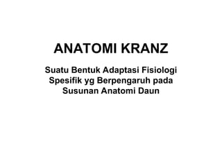 ANATOMI KRANZ
Suatu Bentuk Adaptasi Fisiologi
Spesifik yg Berpengaruh pada
Susunan Anatomi Daun
 