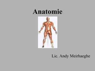 Anatomie Lic. Andy Meirhaeghe 