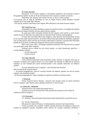 II. Calea aferentă
Receptorii vin în contact sinaptic cu termina iile dendritice ale neuronilor senzitivi
din ganglionii spinali sau din cei de pe traiectul unor nervi cranieni ( senzitivi si micsti).
Distribu ia căii aferente spre centrii nervoşi se face în două moduri:
Convergen a este un mod de distribu ie în care un singur neuron central primeşte contacte
sinaptice de la mai multe fibre aferente.
- Divergen a constă în ramificarea unei singure fibre aferente la mai mul i neuroni centrali.
III. Centrii nervosi
Poten ialele de ac iune dendritice ajunse la neuronul senzitiv se propagă mai departe
centrifug de-a lungul axonului acestuia, până la prima sinapsă.
În cazul unui reflex elementar (format din doi neuroni, unul senzitiv şi unul motor),
centrul nervos al reflexului este reprezentat de neuronul motor (reflexe monosinaptice).
În cazul unor activită i reflexe mai complexe, calea aferentă este formată dintr-un lan
de trei sau mai mul i neuroni senzitivi, iar centrii reflecşi sunt reprezenta i de totalitatea sinapselor
care se realizează în ariile corticale sau în nucleii subcorticali ce primesc şi prelucrează informa ia
primită de la periferie şi elaborează răspunsul efector (reflexe polisinaptice).
Prin centrui unui reflex se în elege totalitatea structurilor din sistemul nervos central
care participă la actul reflex respectiv.
Sistemul nervos central are trei nivele majore, cu roluri func ionale specifice : nivelul măduvei spinării
- nivelul subcortical
- nivelul cortical.
IV.Calea eferentă
Calea eferentă reprezintă axonii neuronilor motori somatici şi vegetativi prin care se
transmite comanda către organul efector. Cea mai simplă cale eferentă se întâlneşte la reflexele
somatice; ea este formată din axonul motoneuronului α din coarnele anterioare ale măduvei
spinării.
În cazul sistemului nervos vegetativ, calea eferentă este formată
dintr-un lan de doi neuroni motori :
- un neuron preganglionar, situat în coarnele laterale ale măduvei spinării sau într-un nucleu
vegetativ din trunchiul cerebral
- un neuron postganglionar, situat în ganglionii vegetativi periferici (extranevraxiali).
V.Efectorii
Pentru Sistemul Nevos Somatic efectorii sunt muşchii stria i iar pentru Sistemul
Nervos Vegetativ sunt muşchii netezi ,glandele endocrine si cele exocrine.
1.2. ESUTUL NERVOS
Sistemul nervos este format din esutul nervos.
esutul nervos este constituit din celule specializate (neuroni) şi din celule de
sus inere (celule nevroglice).
1.2.1.Neuronul
(1) Defini ie: Neuronul reprezintă unitatea morfo-func ională a sistemului nervos.
(2) Forma şi dimensiuni:
Din punct de vedere al formei şi al dimensiunilor, neuronii sunt foarte diferi i.
Forma neuronilor este variabilă : stelată (coarnele anterioare ale măduvei), sferică sau
ovalară (în ganglioni spinali), piramidali (ariile motorii ale scoar ei cerebrale), piriforma (

12

 