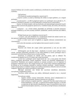 neuronii Purkinje de la nivelul scoartei cerebeloase) şi fusiformă (în stratul profund al scoar ei
cerebrale).
(3)Clasificare:
A.În func ie de numărul prelungirilor, neuronii pot fi :
- unipolari (celule cu conuri şi bastonaşe din retină); au aspect globulos, cu o singură
prelungire;
- pseudounipolari – se află în ganglionul spinal şi au o prelungire care se divide în „T”;
dendrita se distribuie la periferie, iar axonul pătrunde în sistemul nervos central (SNC);
- bipolari, de formă rotundă, ovală sau fusiformă, cele două prelungiri pornind de la polii
opuşi ai celulei (neuronii din ganglionii spiral Corti şi vestibular Scarpa, din retină şi din mucoasa
olfactivă)
- multipolari – au o formă stelată, piramidală sau piriformă şi prezintă numeroase
prelungiri dendritice şi un axon (scoar a cerebrală, cerebeloasă, coarnele anterioare din măduva
spinării).
B.După func ia pe care o indeplinesc neuronii pot fi :
- receptori, care, prin dendritele lor, recep ionează stimulii din mediul exterior sau
din interiorul organismului (somatosenzitivi şi viscerosenzitivi),
- motori, ai căror axoni sunt în legătură cu organele efectoare (somatomotori sau
visceromotori)
- intercalari (de asocia ie), care fac legătura între neuronii senzitivi şi motori.
(4)Structura
Neuronul este format din corpul celular (pericarionul) şi una sau mai multe
prelungiri.
A.Prelungirile sunt de două tipuri : dendritele, la nivelul carora influxul nervos
circula centripet (majoritatea neuronilor au mai multe dendrite) şi axonul ,prelungire unică a
neuronului la nivelul caruia influxul nervos circula centrifug.
Dendritele, în por iunea lor ini ială, sunt mai groase, apoi se sub iază. Ele
recep ionează impulsul nervos şi îl conduc spre corpul neuronului.
Axonul este o prelungire unică, lungă (uneori de 1 m) şi mai groasă. Este format
dintr-o citoplasmă specializată, numită axoplasmă, vezicule ale reticulului endoplasmatic şi
neurofibrile. Membrana care acoperă axoplasma se numeşte axolemă şi are rol important în
propagarea impulsului nervos. De-a lungul traseului său, axonul emite colaterale perpendiculare
pe direc ia sa, iar în por iunea terminală se ramifică; ultimele ramifica ii – butonii terminali –
con in vezicule pline cu mediatori chimici care mediaza transmiterea influxului nervos la nivelul
sinapselor. Butonul mai con ine neurofibrile şi mitocondrii.
B.Corpul neuronului este format din neurilemă (membrana plasmatică),
neuroplasma (citoplasmă) şi nucleu.
Neurilema celulei nervoase este sub ire, delimitează neuronul şi are o structură
lipoproteică.
Neuroplasma con ine
- organite celulare comune (mitocondrii, ribozomi, reticul endoplasmatic) cu
excep ia centrozomului, deoarece neuronul nu se divide) şi
- clasic se descriu si organite specifice : corpusculii Nissl din corpul celular şi de
la baza dendritelor, ( care apoi , cu ajutorul microscopului electronic s-a dovedit
ca reprezinta de fapt reticulul endoplasmatic rugos ) şi neurofibrile (care, tot cu
ajutorul microscopului electronic, s-a dovedit ca de fapt formeaza citoscheletul)
Nucleul

13

 