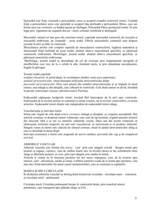 Epicardul este foi a viscerală a pericardului seros şi acoperă complet exteriorul inimii. Cealaltă
foi ă a pericardului seros este parietală şi acoperă fa a profundă a pericardului fibros, care are
forma unui sac rezistent, cu fundul aşezat pe diafragm. Pericardul fibros protejează inima. El este
legat prin ligamente de organele din jur : stern, coloană vertebrală şi diafragmă.
Miocardul, stratul cel mai gros din structura inimii, cuprinde miocardul contractil, de execu ie şi
miocardul embrionar, de comandă – esut nodal. Fibrele miocardului contractil sunt dispuse
circular în atrii şi oblic în ventricule.
Musculatura atriilor este complet separată de musculatura ventriculelor, legătura anatomică şi
func ională fiind realizată de esut nodal, alcătuit dintr-o musculatură specifică, ce păstrează
caracterele embrionare. Morfologic, esutul nodal, alcătuit dintr-o musculatură specifică, ce
păstrează caracterele embrionare.
Morfologic, esutul nodal se deosebeşte de cel de execu ie prin aranjamentul neregulat al
miofibrilelor care trec de la o celulă la alta, formând re ele, şi prin abunden a sarcoplasmei,
bogată în glicogen.
esutul nodal cuprinde :
nodulul sinoatrial, în atriul drept, în vecinătatea vărsării venei cave superioare;
nodulul atrioventricular, situat deasupra orificiului atrioventricular drept;
fasciculul atrioventricular (His) care pleacă din nodulul atrioventricular şi se împarte în două
ramuri, una stângă şi alta dreaptă, care coboară în ventricule. Cele două ramuri se divid, formând
în pere ii ventriculari re eaua subendocardică Purkinje.
Endocardul căptuşeşte încăperile inimii, trecând fără întrerupere de la atrii spre ventricule.
Endocardul de la nivelul atriilor se continuă cu inima venelor, iar la nivelul ventriculilor, cu inima
arterelor. Endocardul inimii drepte este independent de endocardul inimii stângi.
Vasculariza ia şi inerva ia inimii
Inima este irigată de cele două artere coronare (stângă şi dreaptă), cu originea ascendentă. Din
arterele coronare se desprind ramuri colaterale, care sunt de tip terminal, irigând anumite teritorii
din miocard, fără a se uni cu ramurile colaterale vecine. Dacă una din aceste colaterale se
obstruează, teritoriul respectiv nu mai este vascularizat, se necrozează şi se produce infarctul.
Sângele venos al inimii este colectat de sinusul coronar, situat în şan ul atrioventricular stâng şi
care se deschide în atriul drept.
Inerva ia extrinsecă a inimii este asigurată de nervii cardiaci, proveni i din vag şi de simpaticul
cervical.
ARBORELE VASCULAR
Arborele vascular este format din artere, vase prin care sângele circulă dinspre inimă spre
esuturi şi organe, capilare, vase de calibru foarte mic, la nivelul cărora se fac schimburile între
sânge şi diferitele esuturi, şi vene, prin care sângele este readus în inimă.
Arterele şi venele au în structura pere ilor lor trei tunici suprapuse, care, de la exterior spre
interior, sunt : adventicea, media şi inima. Calibrul arterelor scade de la inimă spre periferie, cele
mai mici fiind arteriolele (în unele cazuri metarteriolele), care se continuă cu capilarele.
MAREA ŞI MICA CIRCULA IE
În alcătuirea arborelui vascular se disting două teritorii de circula ie : circula ia mare – sistemică,
şi circula ia mică – pulmonară.
Circula ia mică: Circula ia pulmonară începe în ventriculul drept, prin trunchiul arterei
pulmonare, care transportă spre plămân sânge cu CO2 .

21

 