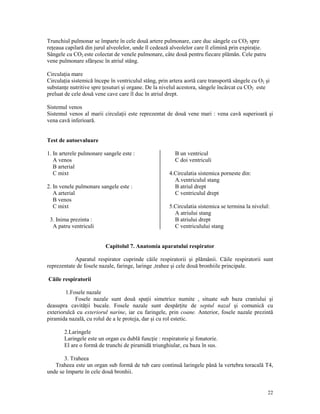 Trunchiul pulmonar se împarte în cele două artere pulmonare, care duc sângele cu CO2 spre
re eaua capilară din jurul alveolelor, unde îl cedează alveolelor care îl elimină prin expira ie.
Sângele cu CO2 este colectat de venele pulmonare, câte două pentru fiecare plămân. Cele patru
vene pulmonare sfârşesc în atriul stâng.
Circula ia mare
Circula ia sistemică începe în ventriculul stâng, prin artera aortă care transportă sângele cu O2 şi
substan e nutritive spre esuturi şi organe. De la nivelul acestora, sângele încărcat cu CO2 este
preluat de cele două vene cave care îl duc în atriul drept.
Sistemul venos
Sistemul venos al marii circula ii este reprezentat de două vene mari : vena cavă superioară şi
vena cavă inferioară.

Test de autoevaluare
1. In arterele pulmonare sangele este :
A venos
B arterial
C mixt
2. In venele pulmonare sangele este :
A arterial
B venos
C mixt
3. Inima prezinta :
A patru ventriculi

B un ventricul
C doi ventriculi
4.Circulatia sistemica porneste din:
A.ventriculul stang
B atriul drept
C ventriculul drept
5.Circulatia sistemica se termina la nivelul:
A atriului stang
B atriului drept
C ventriculului stang

Capitolul 7. Anatomia aparatului respirator
Aparatul respirator cuprinde căile respiratorii şi plămânii. Căile respiratorii sunt
reprezentate de fosele nazale, faringe, laringe ,trahee şi cele două bronhiile principale.
Căile respiratorii
1.Fosele nazale
Fosele nazale sunt două spa ii simetrice numite , situate sub baza craniului şi
deasupra cavită ii bucale. Fosele nazale sunt despăr ite de septul nazal şi comunică cu
exteriorulcă cu exteriorul narine, iar cu faringele, prin coane. Anterior, fosele nazale prezintă
piramida nazală, cu rolul de a le proteja, dar şi cu rol estetic.
2.Laringele
Laringele este un organ cu dublă func ie : respiratorie şi fonatorie.
El are o formă de trunchi de piramidă triunghiular, cu baza în sus.
3. Traheea
Traheea este un organ sub formă de tub care continuă laringele până la vertebra toracală T4,
unde se împarte în cele două bronhii.

22

 