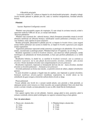 4.Bronhiile principale
La nivelul vertebrei T4 , traheea se împarte în cele două bronhii principale – dreaptă şi stângă.
Aceste bronhii pătrund în plămân prin hil, unde se ramifică intrapulmonar, formând arborele
bronşic.
Plămânii
Aşezare .Raporturi.Configura ie externă
Plămânii sunt principalele organe ale respira iei. Ei sunt situa i în cavitatea toracică, având o
capacitate totală de 5.800 cm3 de aer, cu varia ii individuale.
Structura plămânilor
Plămânii sunt constitui i din : arborele bronşic, lobuli (forma iuni piramidale situate la nivelul
ultimelor ramifica ii ale arborelui bronşic), ramifica iile vaselor pulmonare şi bronşice, nervi şi
vase limfatice, toate cuprinse în esut conjunctiv.
Bronhia principală, pătrunzând în plămân prin hil, se împarte în bronhii lobare, (care asigură
aera ia lobilor pulmonari )iar acestea la rândul lor, se împart în bronhii segmentare,care asigură
aera ia segmentelor.
Segmentele pulmonare reprezintă unită i anatomice şi patologice ale plămânilor. Ele au limite,
aera ie, vasculariza ie şi patologie proprii. Plămânul drept are 10 segmente, iar cel stâng, 9.
Bronhiile segmentare se divid în bronhiole lobulare, care deservesc lobulii pulmonari, unită i
morfologice ale plămânului de formă piramidală, cu baza spre periferia plămânului şi cu vârful
spre hil.
Bronhiolele lobulare, la rândul lor, se ramifică în bronhiole terminale, care se continuă cu
bronhiole respiratorii, de la care pleacă ductele(canalele) alveolare, terminate prin săcule i
alveolari. Pere ii săcule ilor alveolari sunt compartimenta i în alveole pulmonare.
Bronhiolele respiratorii, împreună cu forma iunile derivate din ele – ducte alveolare, săcule ii
alveolari şi alveolele pulmonare - , formează acinii pulmonari.
Alveolele pulmonare au forma unui săcule , cu peretele extrem de sub ire, adaptat schimburilor
gazoase.
În jurul alveolelor se găseşte o bogată re ea de capilare, care împreună cu pere ii alveolelor,
formează membrana alveolo-capilară (membrana respiratorie), la nivelul căreia au loc
schimburile de gaze (oxigen şi dioxid de carbon) dintre alveole şi sânge.
Pleura pulmonară
Fiecare plămân este învelit de o seroasă numită pleură, care prezintă o foi ă parietală, ce
căptuşeşte pere ii cutiei toracice şi o foi ă viscerală, care acoperă plămânul. Între cele două foi e
există o cavitate virtuală, cavitatea pleurală, în care se află o lamă fină de lichid pleural.
Mediastinul
Este spa iul cuprins între cei doi plămâni. Anterior, ajunge până la stern, posterior, până la
coloana vertebrală, inferior până la diafragmă, iar superior comunică larg cu baza gâtului.
Test de autoevaluare
1. Pleura este alcatuita din :
A 1 foita
B 2 foite
C 4 foite

2. Plămânul drept e alcatuit din :
A 2 lobi
B 4 lobi
C 3 lobi

23

 