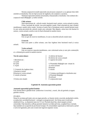 Stroma conjunctivă renală reprezintă zona de esut conjunctiv ce se găseşte între tubii
uriniferi ai rinichiului. Este de fapt un esut de legătură şi de sus inere a acestora.
Nefronul reprezintă unitatea structurală şi func ională a rinichiului. Este alcătuit din :
corpuscul renal (Malpighi) şi tubul urinifer.
Căile urinare
Sunt reprezentate de : calicele renale, bazinetul renal, uretere, vezica urinară şi uretra.
Urina, secretată de rinichi, iese prin papilele renale, fiind colectată de nişte cilindrii
membranoşi, numi i calice renale. Acestea se unesc într-o forma iune unică, numită bazinet renal,
în care urina provenită din calicele renale este colectată. Mai departe, urina trece din bazinet în
uretere, vezica urinară, uretră şi este în final eliminată în mediul extern.
Baznetul renal
Este un gen de rezervor membranos, în care se deschid calicele renale mari.
Ureterele
Sunt acea parte a căilor urinare, care face legătura între bazinetul renal şi vezica
urinară.
Vezica urinară
Este un rezervor musculo-membranos, care colectează urina şi care prin contrac iile
ei, o elimină prin uretră în mediul exterior.
A inferior de bazinet
B inferior de vezica urinară
C superior de ureter

Test de autoevaluare
1.Rinichiul are :
A 2 poli
B 3 poli
C 4 poli
2. Ureterele fac legătura între:
A bazinet şi uretra
B bazinet şi vezica urinară
C rinichi şi bazinet
3.Uretra este situată :

4. Piramidele Malpighi sunt situate în:
A vezica urinară
B bazinet
C rinichi
5. Unitatea morfologică a rinichiului este:
A Piramida Malpighi
B nefronul
C corpusculul renal

Capitolul 10. Anatomia aparatului genital
Anatomia aparatului genital feminin
Este format dintr-o glandă mixtă (endocrina si exocrina) , ovarul , din căi genitale şi organe
genitale externe.
OVARUL
Situat în cavitatea pelviană, este un organ pereche, cu func ie mixtă, exocrină, producând ovulele,
şi endocrină, secretând hormonii : estrogeni şi progesteronul. Are forma unui ovoid turtit,
cântărind 6-8 g, cu diametrul mare de 3-5 cm. Prezintă două fe e, două margini şi două
extremită i. Fa a laterală se află pe peretele lateral al cavită ii pelviene, ocupând fosa ovariană;
fa a medială este acoperită de pavilionul trompei. Pe extremită ile superioară şi inferioară se prind
o serie de ligamente, prin care ovarul este legat de organele vecine.

27

 
