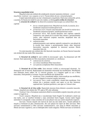 Structura muşchiului striat
Muşchiul striat este alcătuit din următoarele structuri anatomice distincte: corpul
muşchiului, tendonul, vase sanguine şi nervi. Fiecare dintre ele are o structură proprie.
Corpul reprezintă partea cea mai voluminoasă a muşchiului, fiind zona contractilă, activă,
a acestuia. În func ie de modul în care este studiat, se disting patru ordine de structuri:
1. structuri de ordinul 1. Se observă la examenul macroscopic (cu ochiul liber). Ele
cuprind:
fascia comună (aponevroza). Muşchiul este învelit, la exterior, de o
membrană conjunctivă numită aponevroză.
perimisium extern. Fiecare corp muscular este învelit la exterior de o
membrană conjunctivă proprie, numită perimisium extern
perimisium intern. Sub această denumire sunt cuprinse septurile
conjunctive care pleacă de la nivelul fe ei interne a perimisiumului
extern, către interiorul corpului muscular, despăr ind între ele
fasciculele musculare
endomisiuculare
endomisiuenumire sunt cuprinse septurile conjunctive care pleacă de
la nivelul fe ei interne a perimisiumului intern, către interiorul
fasciculului muscular, separând în interiorul acestuia fibrele
musculare între ele.
Un corp muscular este alcătuit deci din fascicule musculare, iar fiecare fascicul muscular
este alcătuit din mai multe fibre musculare.
2. Structuri de ordinul 2. sunt vizibile la microscopul optic. Au dimensiuni sub 100
microni. Sunt reprezentate de fibra musculară şi elementele ce o alcătuiesc:
endomisium (la exterior)
sarcolema (membrana fibrei musculare)
sarcoplasma (citoplasma fibrei musculare)
3. Structuri de al 3-lea ordin. Sunt structuri vizibile cu microscopul electronic. Au
dimensiuni sub 10 microni. Reprezentate de elementele structurale ale miofibrilelor. Miofibrilele
sunt filamente foarte sub iri, de 1-3 microni grosime, cu o lungime egală cu cea a fibrei
musculare, fiind paralele cu aceasta. Fiecare miofibrilă este alcătuită din:
membrană. Este o membrană sub ire, transversală pe axa miofibrilei,
pe care o împarte în structuri numite sarcomere
sarcomerul. Este o zonă a miofibrilei, situată între membrane. Este
alcătuit din o por iune centrlă, care apare ca un disc întunecat,
cuprinsă între 2 por iuni periferice, care apar ca 2 discuri clare.
4. Structuri de al 4-lea ordin. Reprezintă structura histo-chimică a esutului muscular.
Chimic, muşchiul este alcătuit din 70% apă şi 30% alte substan e.
Tendonul. Este o forma iune anatomică aflată la extremită ile corpului muscular, prin care
corpul se leagă de os.
Vasele sanguine. Muşchiul are o vasculariza ie foarte bogată. În el pătrund o arteră sau
mai multe, care se ramifică formând o re ea arteriolară foarte bogată. Acestei re ele bogate
arteriolare îi corespunde o re ea venulară, de la care pleacă vena sau venele muşchiului respectiv.
Inerva ia. Fiecare muşchi este inervat de unul sau mai mul i nervi. Aceştia pătrund în
muşchi şi formează un plex intramuscular, din care pleacă trei tipuri de fibre nervoase: fibre
nervoase somatomotorii şi fibre nervoase somatosenzitive, care merg la fibrele musculare şi
fibrele nervoase vegetative, care se îndreaptă către vasele sanguine. Fibrele nervoase se termină la

9

 