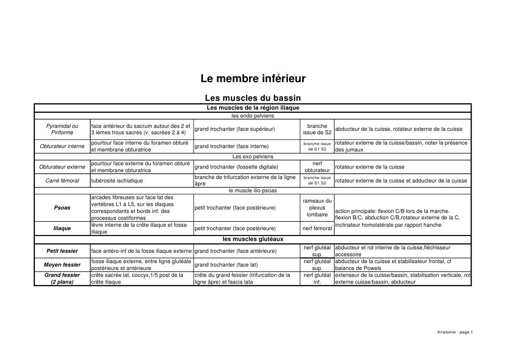 Quest-ce que cest petit voldyriki sur la tête du membre