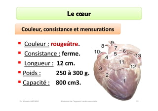 Le cœur
Couleur, consistance et mensurations

Couleur : rougeâtre.
Consistance : ferme.
Longueur : 12 cm.
Poids :
250 à 300 g.
Capacité : 800 cm3.
Dr. Wissem ABELKAFI

Anatomie de l'appareil cardio-vasculaire

10

 