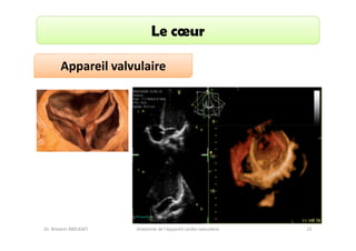 Le cœur
Appareil valvulaire

Dr. Wissem ABELKAFI

Anatomie de l'appareil cardio-vasculaire

22

 
