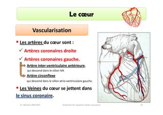Le cœur
Vascularisation
Les artères du cœur sont :
Artères coronaires droite
Artères coronaires gauche.
Artère inter-ventriculaire antérieure,
qui descend dans le sillon IVA

Artère circonflexe
qui descend dans le sillon atrio-ventriculaire gauche.

Les Veines du cœur se jettent dans
le sinus coronaire.
Dr. Wissem ABELKAFI

Anatomie de l'appareil cardio-vasculaire

25

 