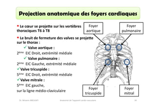 Projection anatomique des foyers cardiaques
Le cœur se projette sur les vertèbres
thoraciques T6 à T8

Foyer
aortique

Le bruit de fermeture des valves se projette
sur le thorax :
Valve aortique :
2ème EIC Droit, extrémité médiale
Valve pulmonaire :
2ème EIC Gauche, extrémité médiale
Valve tricuspide :
5ème EIC Droit, extrémité médiale
Valve mitrale :
5ème EIC gauche,
Foyer
sur la ligne médio-claviculaire
tricuspide
Dr. Wissem ABELKAFI

Anatomie de l'appareil cardio-vasculaire

Foyer
pulmonaire

Foyer
mitral
34

 