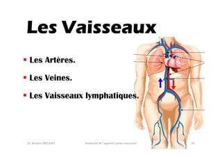 Les Vaisseaux
Les Artères.
Les Veines.
Les Vaisseaux lymphatiques.

Dr. Wissem ABELKAFI

Anatomie de l'appareil cardio-vasculaire

35

 