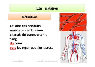 Les artères
Définition
Ce sont des conduits
musculo-membraneux
chargés de transporter le
sang :
du cœur
vers les organes et les tissus.

Dr. Wissem ABELKAFI

Anatomie de l'appareil cardio-vasculaire

36

 