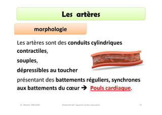 Les artères
morphologie
Les artères sont des conduits cylindriques
contractiles,
souples,
dépressibles au toucher
présentant des battements réguliers, synchrones
aux battements du cœur
Pouls cardiaque.
Dr. Wissem ABELKAFI

Anatomie de l'appareil cardio-vasculaire

37

 