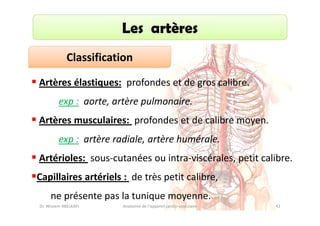 Les artères
Classification
Artères élastiques: profondes et de gros calibre.
exp : aorte, artère pulmonaire.
Artères musculaires: profondes et de calibre moyen.
exp : artère radiale, artère humérale.
Artérioles: sous-cutanées ou intra-viscérales, petit calibre.
Capillaires artériels : de très petit calibre,
ne présente pas la tunique moyenne.
Dr. Wissem ABELKAFI

Anatomie de l'appareil cardio-vasculaire

42

 