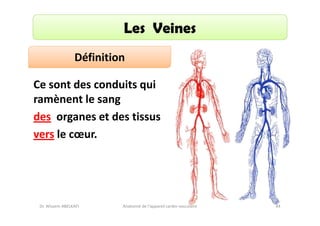 Les Veines
Définition
Ce sont des conduits qui
ramènent le sang
des organes et des tissus
vers le cœur.

Dr. Wissem ABELKAFI

Anatomie de l'appareil cardio-vasculaire

44

 