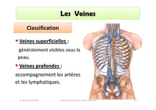 Les Veines
Classification
Veines superficielles :
généralement visibles sous la
peau.

Veines profondes :
accompagnement les artères
et les lymphatiques.

Dr. Wissem ABELKAFI

Anatomie de l'appareil cardio-vasculaire

48

 