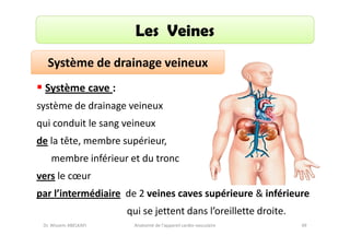 Les Veines
Système de drainage veineux
Système cave :
système de drainage veineux
qui conduit le sang veineux
de la tête, membre supérieur,
membre inférieur et du tronc
vers le cœur
par l’intermédiaire de 2 veines caves supérieure & inférieure
qui se jettent dans l’oreillette droite.
Dr. Wissem ABELKAFI

Anatomie de l'appareil cardio-vasculaire

49

 