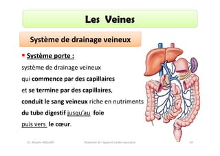 Les Veines
Système de drainage veineux
Système porte :
système de drainage veineux
qui commence par des capillaires
et se termine par des capillaires,
conduit le sang veineux riche en nutriments
du tube digestif jusqu’au foie
puis vers le cœur.
Dr. Wissem ABELKAFI

Anatomie de l'appareil cardio-vasculaire

50

 