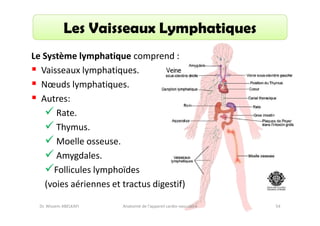 Les Vaisseaux Lymphatiques
Le Système lymphatique comprend :
Vaisseaux lymphatiques.
Nœuds lymphatiques.
Autres:
Rate.
Thymus.
Moelle osseuse.
Amygdales.
Follicules lymphoïdes
(voies aériennes et tractus digestif)
Dr. Wissem ABELKAFI

Anatomie de l'appareil cardio-vasculaire

54

 