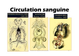 Circulation sanguine

Dr. Wissem ABELKAFI

Anatomie de l'appareil cardio-vasculaire

55

 