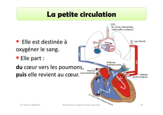 La petite circulation

Elle est destinée à
oxygéner le sang.
Elle part :
du cœur vers les poumons,
puis elle revient au cœur.

Dr. Wissem ABELKAFI

Anatomie de l'appareil cardio-vasculaire

58

 