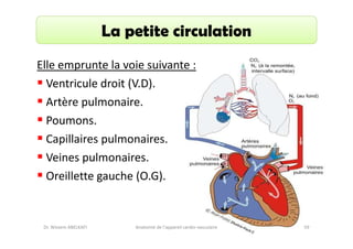 La petite circulation
Elle emprunte la voie suivante :
Ventricule droit (V.D).
Artère pulmonaire.
Poumons.
Capillaires pulmonaires.
Veines pulmonaires.
Oreillette gauche (O.G).

Dr. Wissem ABELKAFI

Anatomie de l'appareil cardio-vasculaire

59

 