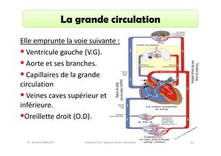 La grande circulation
Elle emprunte la voie suivante :
Ventricule gauche (V.G).
Aorte et ses branches.
Capillaires de la grande
circulation
Veines caves supérieur et
inférieure.
Oreillette droit (O.D).

Dr. Wissem ABELKAFI

Anatomie de l'appareil cardio-vasculaire

61

 