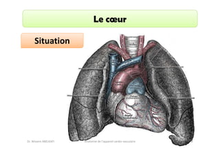 Le cœur
Situation

Dr. Wissem ABELKAFI

Anatomie de l'appareil cardio-vasculaire

9

 