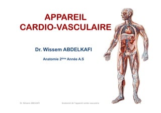 APPAREIL
CARDIOCARDIO-VASCULAIRE
Dr. Wissem ABDELKAFI
Anatomie 2ème Année A.S

Dr. Wissem ABELKAFI

Anatomie de l'appareil cardio-vasculaire

1

 