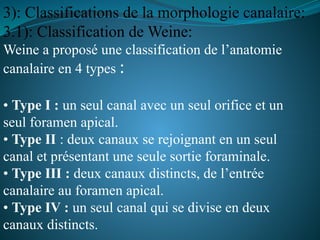 Weine Classification Anatomie descriptive-endodentique 2eme .pptx