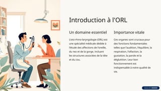 Orl Notes Anatomie et Physiologie Complètes de l'ORL : Nez, Oreille, Gorge | PPTX