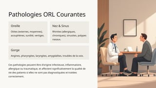 Orl Notes Anatomie et Physiologie Complètes de l'ORL : Nez, Oreille, Gorge | PPTX