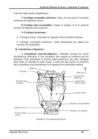 Faculté de Médecine de Sousse - Laboratoire d’Anatomie.

avant des replis aryténo-épiglottiques.
7. Cartilages sésamoïdes antérieurs : Pairs, ils sont situés à l’extrémité
antérieure des ligaments vocaux.
8. Cartilage inter-aryténoïdien : Impair et médian, il est le point de
jonction du ligament crico-corniculé.
9. Cartilages inconstants :
 Cartilages triticés : situé dans les ligaments thyro-hyoïdiens latéraux,
 Cartilages sésamoïdes postérieurs : situés latéralement par rapport aux
sommets des aryténoïdes.
B. Articulations et ligaments :
1. Articulations crico-thyroïdiennes : Arthrodies unissant les cornes
thyroïdiennes inférieures à l’arc cricoïdien, leur capsule est renforcée par des
ligaments. Elles permettent la bascule antéro-postérieure des deux cartilages
pour tendre ou détendre la corde vocale. L’union des deux pièces est renforcée
par la membrane crico-thyroïdienne et le ligament crico-thyroïdien médian.
Haut

Epiglotte
Os hyoïde

Droite

Ligament thyrohyoïdien lat.
Membrane thyrohyoïdienne

Ligament thyrohyoïdien médian

Cartilage thyroïde

Membrane crico-thyroïdienne
Cartilage cricoïde
Membrane crico-trachéale
Premier cartilage
trachéal

Schéma 85. Vue antérieure du larynx.

Anatomie Tête et Cou

103

 