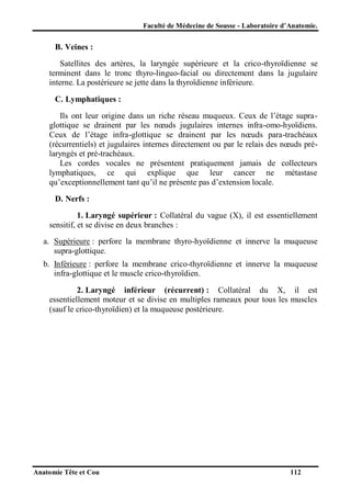 Faculté de Médecine de Sousse - Laboratoire d’Anatomie.

B. Veines :
Satellites des artères, la laryngée supérieure et la crico-thyroïdienne se
terminent dans le tronc thyro-linguo-facial ou directement dans la jugulaire
interne. La postérieure se jette dans la thyroïdienne inférieure.
C. Lymphatiques :
Ils ont leur origine dans un riche réseau muqueux. Ceux de l’étage supraglottique se drainent par les nœuds jugulaires internes infra-omo-hyoïdiens.
Ceux de l’étage infra-glottique se drainent par les nœuds para-trachéaux
(récurrentiels) et jugulaires internes directement ou par le relais des nœuds prélaryngés et pré-trachéaux.
Les cordes vocales ne présentent pratiquement jamais de collecteurs
lymphatiques, ce qui explique que leur cancer ne métastase
qu’exceptionnellement tant qu’il ne présente pas d’extension locale.
D. Nerfs :
1. Laryngé supérieur : Collatéral du vague (X), il est essentiellement
sensitif, et se divise en deux branches :
a. Supérieure : perfore la membrane thyro-hyoïdienne et innerve la muqueuse
supra-glottique.
b. Inférieure : perfore la membrane crico-thyroïdienne et innerve la muqueuse
infra-glottique et le muscle crico-thyroïdien.
2. Laryngé inférieur (récurrent) : Collatéral du X, il est
essentiellement moteur et se divise en multiples rameaux pour tous les muscles
(sauf le crico-thyroïdien) et la muqueuse postérieure.

Anatomie Tête et Cou

112

 