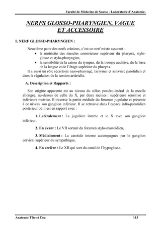 Faculté de Médecine de Sousse - Laboratoire d’Anatomie.

NERFS GLOSSO-PHARYNGIEN, VAGUE
ET ACCESSOIRE
I. NERF GLOSSO-PHARYNGIEN :
Neuvième paire des nerfs crâniens, c’est un nerf mixte assurant :
 la motricité des muscles constricteur supérieur du pharynx, styloglosse et stylo-pharyngien,
 la sensibilité de la caisse du tympan, de la trompe auditive, de la base
de la langue et de l’étage supérieur du pharynx.
Il a aussi un rôle sécrétoire naso-pharyngé, lacrymal et salivaire parotidien et
dans la régulation de la tension artérielle.
A. Description et Rapports :
Son origine apparente est au niveau du sillon postéro-latéral de la moelle
allongée, au-dessus de celle du X, par deux racines : supérieure sensitive et
inférieure motrice. Il traverse la partie médiale du foramen jugulaire et présente
à ce niveau son ganglion inférieur. Il se retrouve dans l’espace infra-parotidien
postérieur où il est en rapport avec :
1. Latéralement : La jugulaire interne et le X avec son ganglion
inférieur,
2. En avant : Le VII sortant du foramen stylo-mastoïdien,
3. Médialement : La carotide interne accompagnée par le ganglion
cervical supérieur du sympathique,
4. En arrière : Le XII qui sort du canal de l’hypoglosse.

Anatomie Tête et Cou

113

 