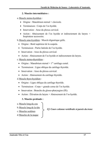 Faculté de Médecine de Sousse - Laboratoire d’Anatomie.

2. Muscles intermédiaires :
a. Muscle sterno-hyoïdien :
 Origine : Manubrium sternal + clavicule.
 Terminaison : Corps de l’os hyoïde.
 Innervation : Anse du plexus cervical.
 Action : Abaissement de l’os hyoïde et indirectement du larynx +
Inspirateur accessoire.
b. Muscle omo-hyoïdien : Muscle digastrique grêle.
 Origine : Bord supérieur de la scapula.
 Terminaison : Partie latérale de l’os hyoïde.
 Innervation : Anse du plexus cervical.
 Action : Abaissement de l’os hyoïde et indirectement du larynx.
c. Muscle sterno-thyroïdien :
 Origine : Manubrium sternal + 1er cartilage costal.
 Terminaison : Ligne oblique du cartilage thyroïde.
 Innervation : Anse du plexus cervical.
 Action : Abaissement du cartilage thyroïde.
d. Muscle thyro-hyoïdien :
 Origine : Ligne oblique du cartilage thyroïde.
 Terminaison : Corps + grande corne de l’os hyoïde.
 Innervation : Branche du glosso-pharyngien (IX).
 Action : Élévation du larynx + Abaissement de l’os hyoïde.
3. Muscles profonds :
a. Muscle long du cou
b. Muscle long de la tête
c. Muscles scalènes

Cf. Cours colonne vertébrale et parois du tronc

d. Muscles de la nuque

Anatomie Tête et Cou

17

 