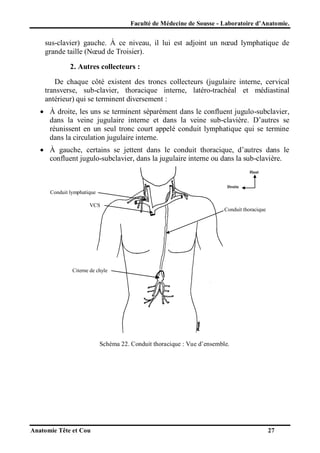 Faculté de Médecine de Sousse - Laboratoire d’Anatomie.

sus-clavier) gauche. À ce niveau, il lui est adjoint un nœud lymphatique de
grande taille (Nœud de Troisier).
2. Autres collecteurs :
De chaque côté existent des troncs collecteurs (jugulaire interne, cervical
transverse, sub-clavier, thoracique interne, latéro-trachéal et médiastinal
antérieur) qui se terminent diversement :
 À droite, les uns se terminent séparément dans le confluent jugulo-subclavier,
dans la veine jugulaire interne et dans la veine sub-clavière. D’autres se
réunissent en un seul tronc court appelé conduit lymphatique qui se termine
dans la circulation jugulaire interne.
 À gauche, certains se jettent dans le conduit thoracique, d’autres dans le
confluent jugulo-subclavier, dans la jugulaire interne ou dans la sub-clavière.
Haut

Droite

Conduit lymphatique
VCS

Conduit thoracique

Citerne de chyle

Schéma 22. Conduit thoracique : Vue d’ensemble.

Anatomie Tête et Cou

27

 